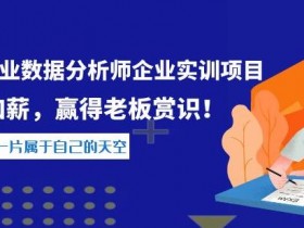 阿里国际站如何利用数据分析优化运营，提升转化率的核心方法