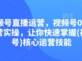 视频号素人变现指南，快速上手的赚钱技巧分享