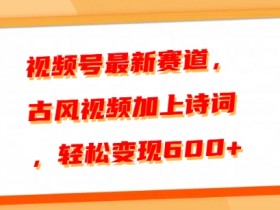 视频号素人直播卖货新玩法，不用真人出镜也能赚钱的方法