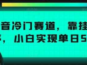 抖音带货达人如何选择直播时间，提升流量与转化率的时间策略