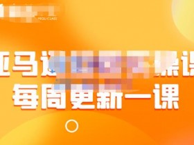亚马逊成人用品的行业风险，如何规避封店与政策限制？