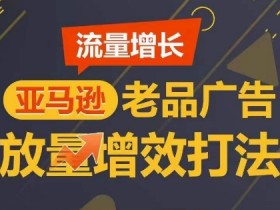 亚马逊成人用品的行业风险，如何规避封店与政策限制？