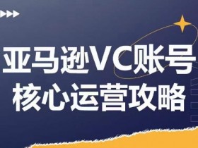 亚马逊成人用品站内运营教程，从选品到推广的实操指南