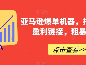 亚马逊成人用品市场竞争激烈吗，从数据看行业潜力