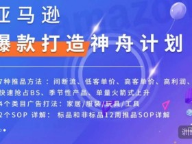 亚马逊成人用品市场竞争激烈吗，从数据看行业潜力