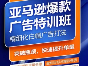 亚马逊成人用品市场竞争激烈吗，从数据看行业潜力