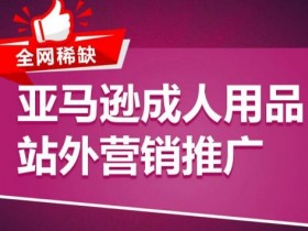 2025年亚马逊成人类目前景如何，大人玩具的市场机会解析