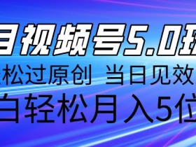 视频号分成计划新玩法，10天收益2833+的操作方法解析