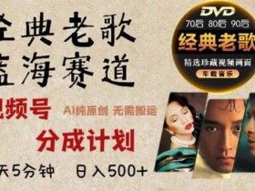 视频号直播付费推广怎么玩，从预算分配到效果追踪的全攻略