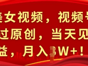 视频号无人直播冷门领域推荐，低竞争高回报的赛道分析