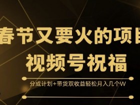 视频号无人直播冷门领域推荐，低竞争高回报的赛道分析