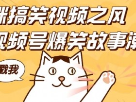 视频号直播卖货的冷门领域，蓝海赛道高收益玩法推荐