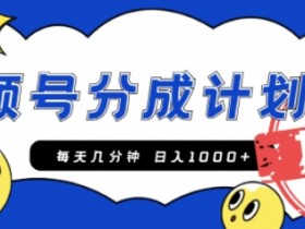 视频号付费直播项目靠谱吗，从风险到收益的真实案例分析