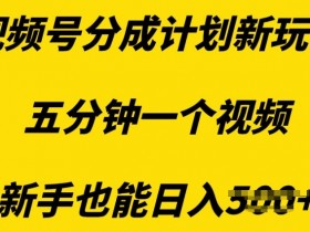 视频号直播项目咨询，带货、付费与无人直播的真实案例分享