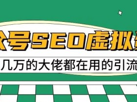 抖音SEO搜索怎么做，五个必学的优化技巧帮你引爆流量