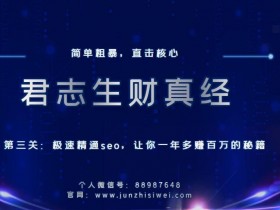 抖音SEO算法解读，排名优化背后的核心逻辑揭秘