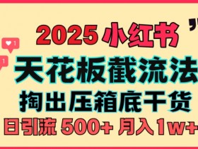 如何批量化推广小红书矩阵，从搭建到变现的全流程攻略
