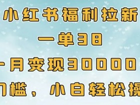 如何在小红书做高端旅游定制，适合个人的高收益项目解析