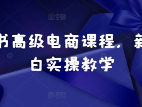 如何在小红书做高端旅游定制，适合个人的高收益项目解析