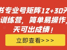 小红书卖旅游攻略怎么选类目，适合新手的实操指南