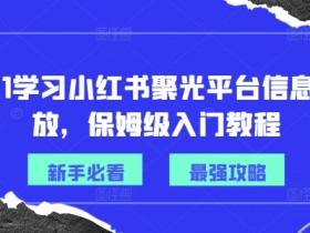 小红书虚拟掘金兼职攻略，轻松实现日入300+的玩法