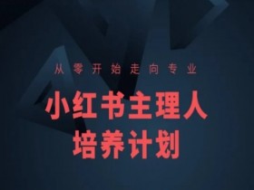 如何在短剧风口中掘金，小红书短视频红利项目全解