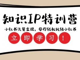 小红书笔记引流推广全攻略，打造流量爆款的操作方法