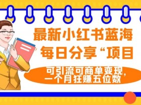 小红书笔记引流推广全攻略，打造流量爆款的操作方法