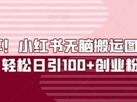小红书笔记引流推广全攻略，打造流量爆款的操作方法