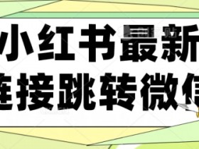 小红书笔记引流推广全攻略，打造流量爆款的操作方法