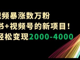 小红书笔记引流推广全攻略，打造流量爆款的操作方法