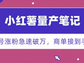 如何通过小红书笔记提升销量，流量获取与用户转化的全攻略