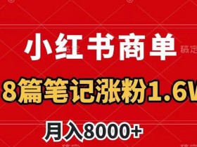 小红书引流推广常见误区，如何避坑实现快速吸粉？