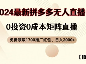 拼多多无人直播玩法详解，带货技巧助力收益翻倍