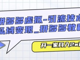 拼多多无人直播项目适合哪些人群，低门槛高收益的创业机会