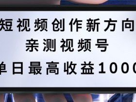 短视频运营策划方案分享，成功案例与关键要点解析