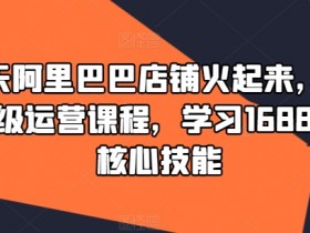 阿里巴巴国际站运营是否有前途，行业分析与未来机会