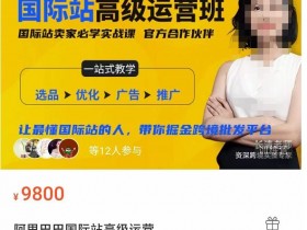 阿里国际站运营模式详解，从流量到询盘的全链条分析