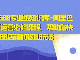 阿里巴巴国际站运营是否有前途，行业分析与未来机会