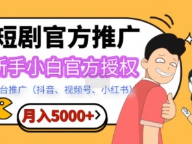 视频号素人直播成功案例复盘，从流量爆发到收益倍增的路径