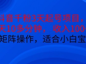 抖音社群的品牌合作玩法，如何通过社群提升合作价值？