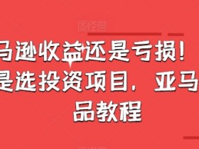 亚马逊成人用品好做吗，市场现状与运营前景深度解析