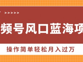 视频号直播冷门赛道玩法，普通人也能轻松日入500+