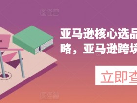 亚马逊新手广告投放指南，快速上手的操作教程