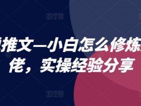 AI绘画+小说推文新玩法，实现高效创作与多平台分发