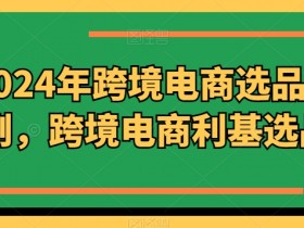 迪拜跨境电商未来发展如何应对挑战，应对迪拜跨境电商未来挑战的策略