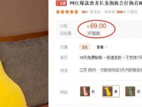 迪拜跨境电商未来发展如何应对挑战，应对迪拜跨境电商未来挑战的策略