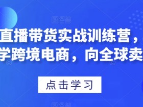 迪拜电商趋势如何抓住市场机会，2025年迪拜跨境电商发展趋势