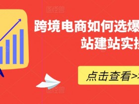 迪拜跨境电商平台功能如何优化，优化迪拜跨境电商平台功能的策略