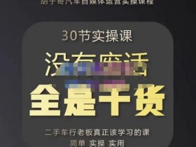 二手车短视频网红的成功秘诀，如何通过短视频打造二手车品牌的网红效应